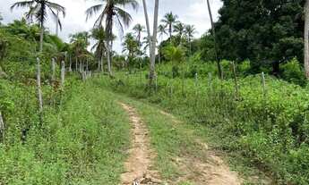 Imagem 2: Terreno Amplo de 2.737m² à Venda na Laje - Porto de Pedras/AL