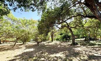 Imagem 2: LA - Imóvel para venda com 10562 metros quadrados com 3 quartos em Verdecap - Teresina - P