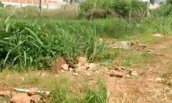 Imagem 4: Vendo lote de 1760m2 na ponte alta norte