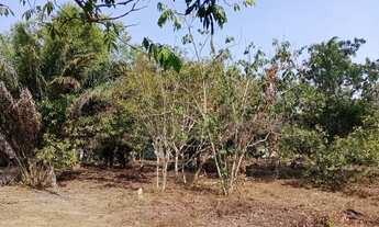 Imagem: Lotes Km 26 Am 070