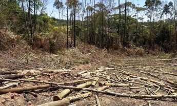 Imagem 8: Terreno pra chácara em Ibiúna direto com o proprietário