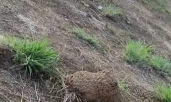 Imagem 3: Ágio de lote Terreno / lote com venda por R$20.000