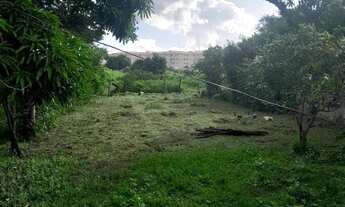 Imagem 3: Terreno limpo e plano