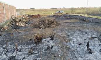 Imagem 5: Lote a 300 metros da BR ao lado da Vicente e 26 de setembro