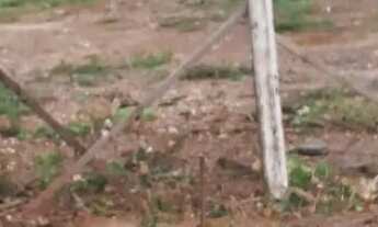 Imagem 7: Terreno 10 x40 Terreno / lote com venda por R$50.000