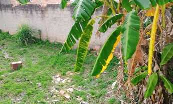 Imagem 2: Terreno plano à venda/ 294 m²/ Oportunidade/ Ac. Av. São Paulo/ Só R$ 215 mil