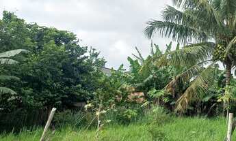 Imagem: Vendo um terreno