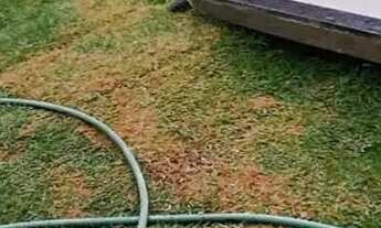 Imagem 3: Casa à venda, Vila Oliveira, Aparecida de Goiânia, GO