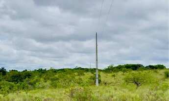 Imagem 3: Vendo lote de chácara no Murupu - Leia anúncio