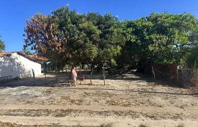 Imagem 3: Terreno Próximo a Caponga