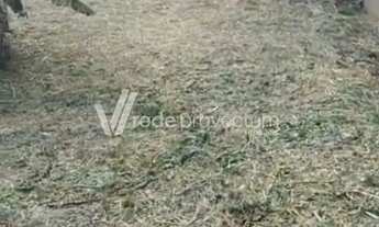 Imagem 4: Terreno - Jardim Chapadão - Campinas