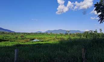 Imagem 7: Fazenda em Campos Novos Iracema