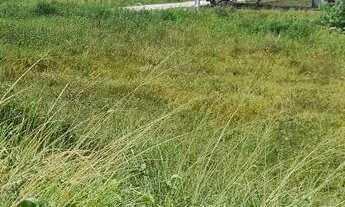 Imagem 5: Terreno na entrada do angelim