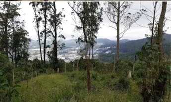 Imagem: área - Vila Progresso - Santo André