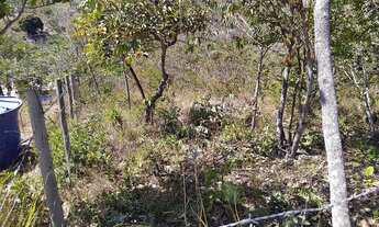 Imagem 3: VENDO OU TROCO CHÁCARA EM JABOTICATUBAS-MG