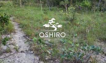 Imagem 7: Vendo 5 Alqueires, sendo 24.2 Hectares Eem ARAGUAPAZ - GO - CÓD. 14002