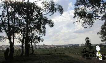 Imagem 4: Área à venda, 85000 m² por R$ 42.500.000,00 - Planta Quississana - São José dos Pinhais/PR