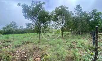 Imagem 2: Sitio à venda, Área Rural de Sitios de Recreio Parque Itaguai, próximo a fazendinha cocori