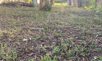 Imagem 4: Vende-se terreno 9.70x50