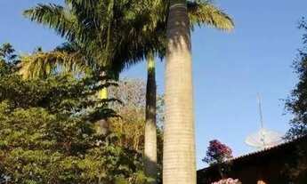 Imagem 14: Sítio, Região de Porto Feliz SP