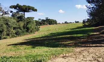 Imagem 4: Terreno à venda, 179.087 m2, Porto das Laranjeiras - Araucária PR