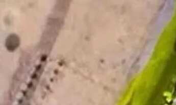 Imagem 2: TERRENO - CIDADE SATÉLITE ÍRIS - SP