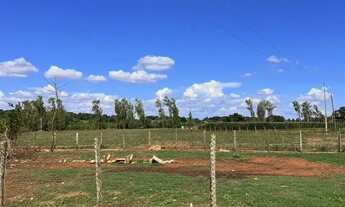 Imagem 7: Chácara a venda em Heitorai - Goiás!!!