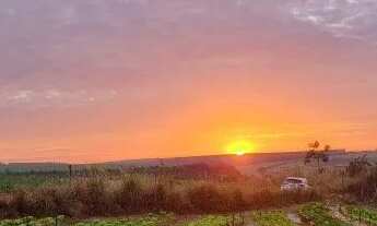 Imagem 2: Vendo Chácara 4hectares - Natureza Abundante, Conectividade e Potencial Rural!