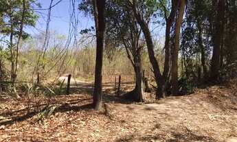 Imagem 3: Terreno de 3.12 hectares Brejo-Ilha 6km Januaria