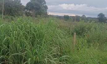 Imagem 5: Lote no povoado de vila nova próximo a Mambaí Goiás