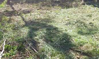 Imagem 3: Sitio taiacupeba com 20mil m2 escritura ok