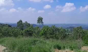 Imagem 5: Terrenos 1000m² à Venda em São Roque Qualidade de Vida no Interior Paulista