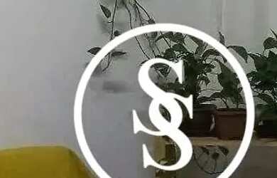 Imagem 4: Apartamento com 2 dormitórios à venda, 71 m² por R$ 265.000,00 - Jordanópolis - São Bernar