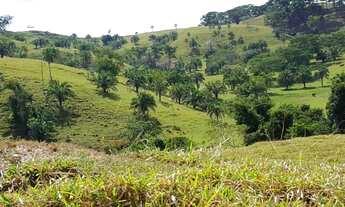 Imagem 7: Fazenda 275 Alqueires - Cultura