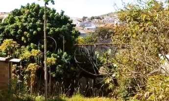 Imagem 5: Terreno à venda com 308 m² no Jardim Pinheiros, Valinhos