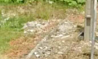 Imagem 7: Terreno para Venda em São José dos Pinhais, Borda do Campo