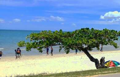 Imagem: Terreno de 60.000m2 a 300 metros da praia