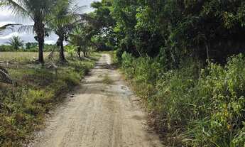 Imagem 5: Vendo maravilhosa fazenda no município de laje