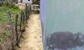 Imagem 5: Casa a venda Casa com 2 dormitórios