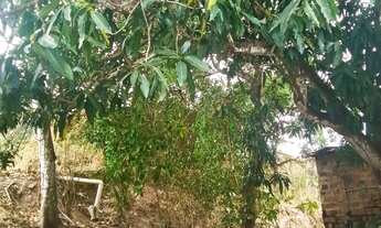 Imagem 3: Casa Tibiri Casa com 2 dormitórios