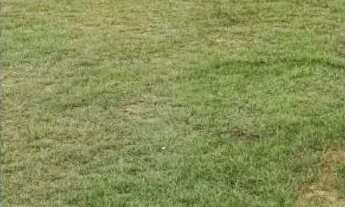 Imagem: Vendo Chácara Estrada do Janauari km 08