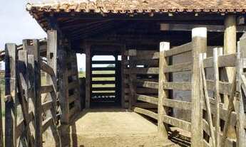 Imagem 5: Fazenda Pecuária Pronta