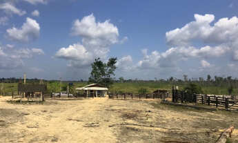 Imagem 4: Fazenda à venda no município de Anapu, Pará com 781 alqueires