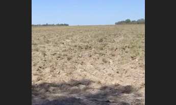 Imagem: Fazenda para soja de 144 Alqueires em Gurupi