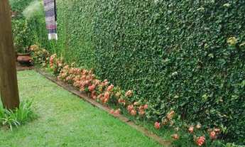 Imagem 3: Casa a venda em Pedra Branca com 200 metros e 3 quartos com muita luz natural e paisagismo