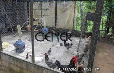 Imagem 9: 2164 Bela fazenda de 78 ha com boa estrutura em Barbacena e de porteira fechada