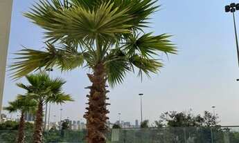 Imagem 3: Apartamento para venda tem 148 metros quadrados com 3 quartos em Flamengo - Rio de Janeiro