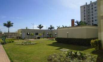 Imagem 16: Lindo Apartamento Bairro Alto