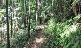 Imagem 5: CHÁCARA SANTA MARIA DAS FLORES!!!ÓTIMA LOCALIZAÇÃO, próximo ao Centro Histórico de Morrete