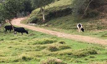 Imagem 2: COD:1939 Sitio em Senador José Bento